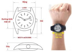 Cách chọn size đồng hồ theo kích thước cổ tay