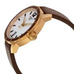 Tissot Quickster Date Brown Leather Men's Watch T095.410.36.037.00