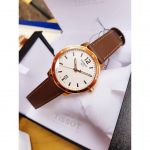 Tissot Quickster Date Brown Leather Men's Watch T095.410.36.037.00
