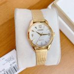 Citizen Women's Mặt Số Tròn Dây Kim Loại Bạc EM0682-58P