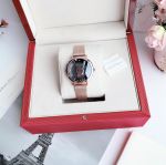 Salvatore Ferragamo Minuetto Mặt Số Đen Dây Kim Loại Vàng SF8200719